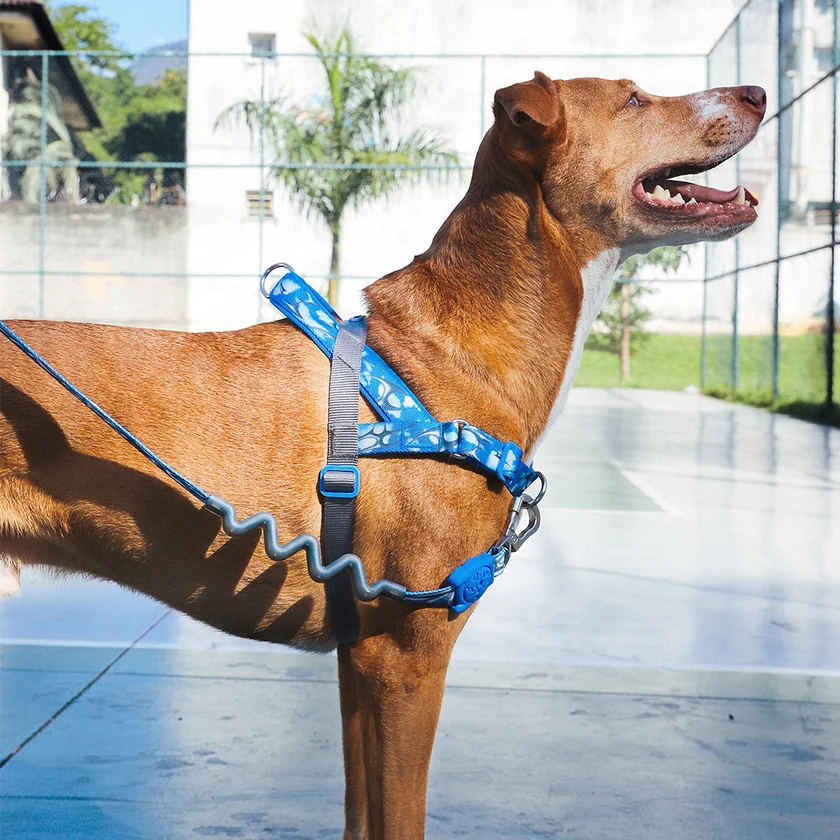 Fly Softwalker / Zeedog + H3D - Image 3