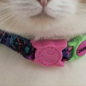 Collar para gato Reebok