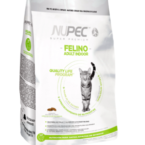 Felino adulto indoor
