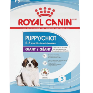 Giant Puppy
