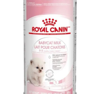 Baby Cat Milk