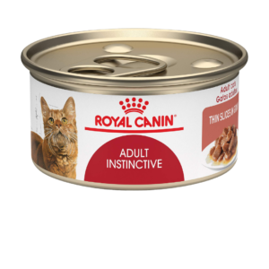 Instictive Feline