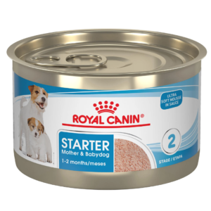 Small Starter Mother & Baby