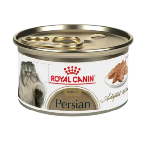 Persian