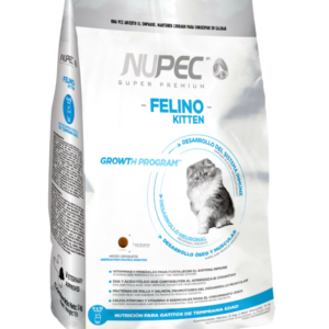 Nupec felino kitten