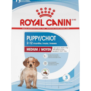 Medium Puppy