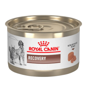 Recovery