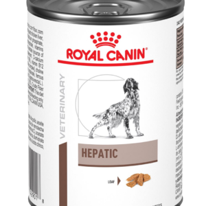 Hepatic