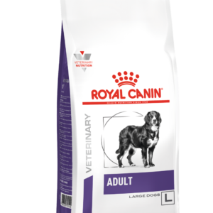 Adult Large Dog