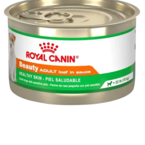 Beauty Adult