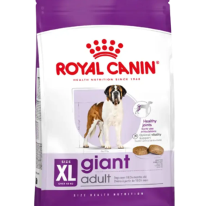 Giant Adult
