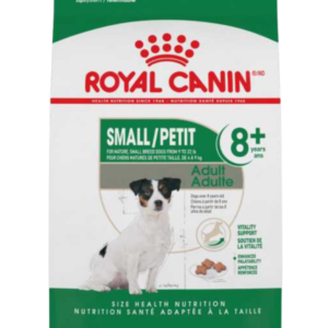 Small Adult +8