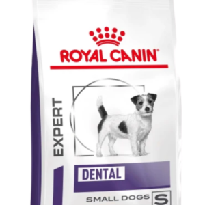Dental