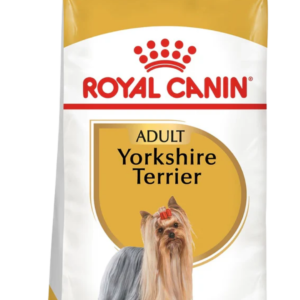 Yorkshire Terrier