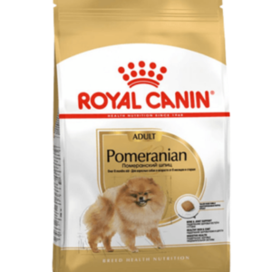 Pomeranian