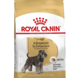 Miniature Schnauzer