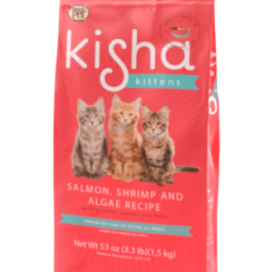 Kisha Kitten