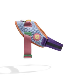 Galaxy Fly Harness / Zeedog