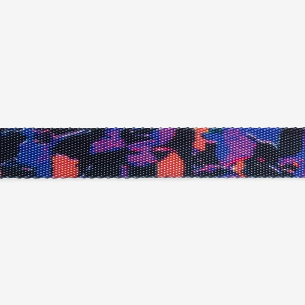 Court Cat Collar / Zeecat + Reebok - Image 3