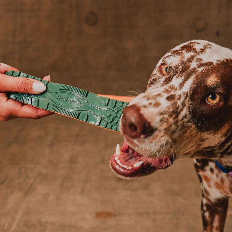 Trekk Twig – Juguete para Perro / Reebok x Zee.Dog - Image 4