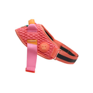 Gazelle Fly Harness / Zeedog