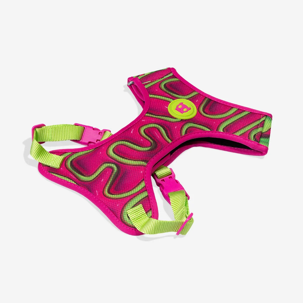 Jelly Air Mesh Harness / Zeedog + H3D - Image 2