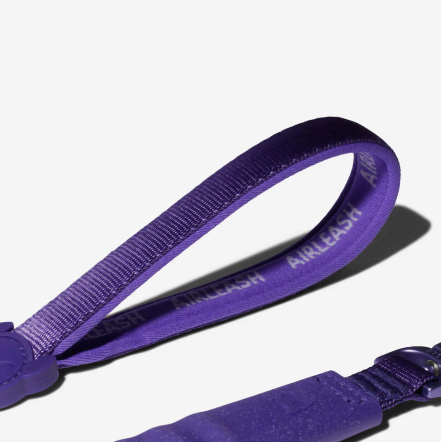 Violet Air-Leash 1M – Correa con Absorción de Impacto / Zee.Dog - Imagen 2
